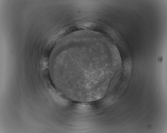 X0000115080284200911171201
