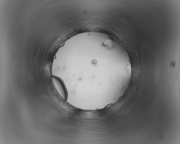 X0000115080286200911171201