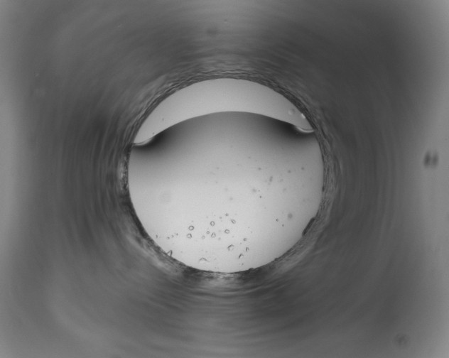 X0000115080288200911171201