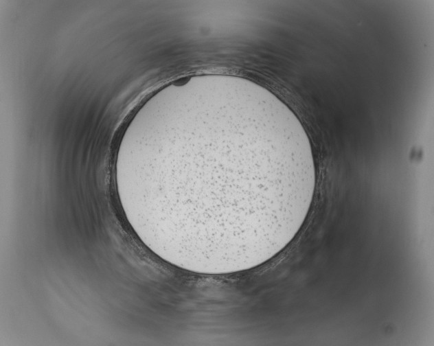 X0000115080290200911171200