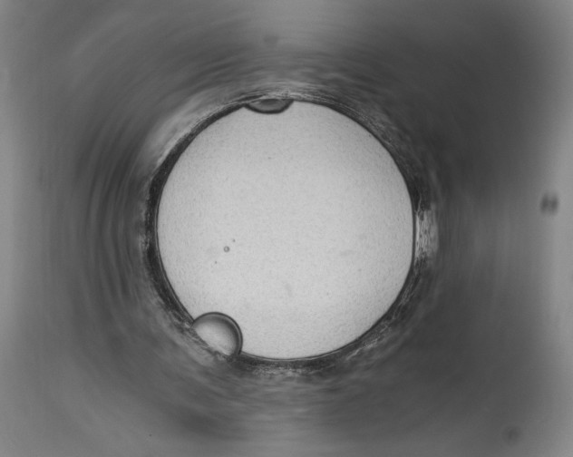 X0000115080291200911171200