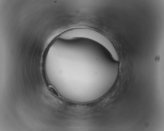 X0000115080292200911171200