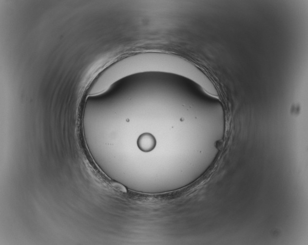 X0000115080293200911171200