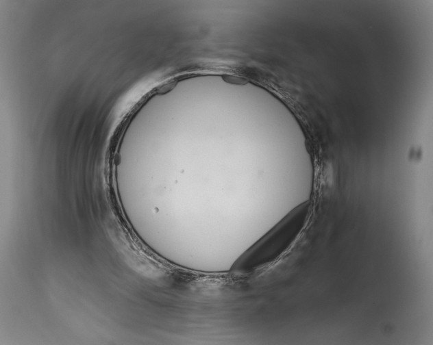 X0000115080294200911171200