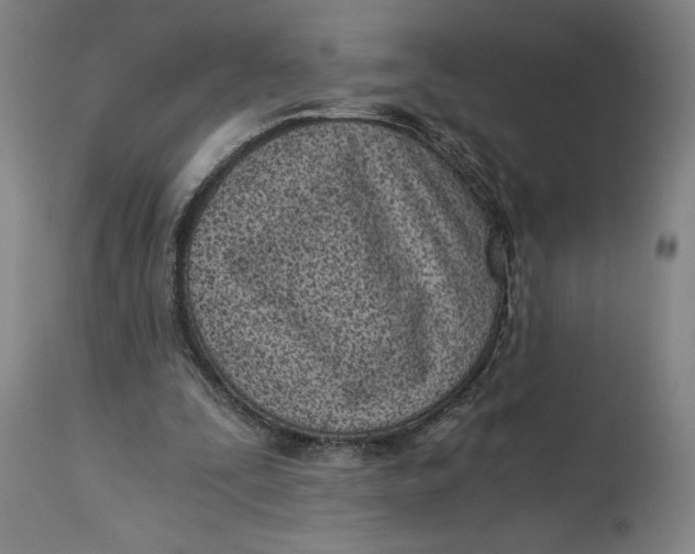 X0000115080295200911171200