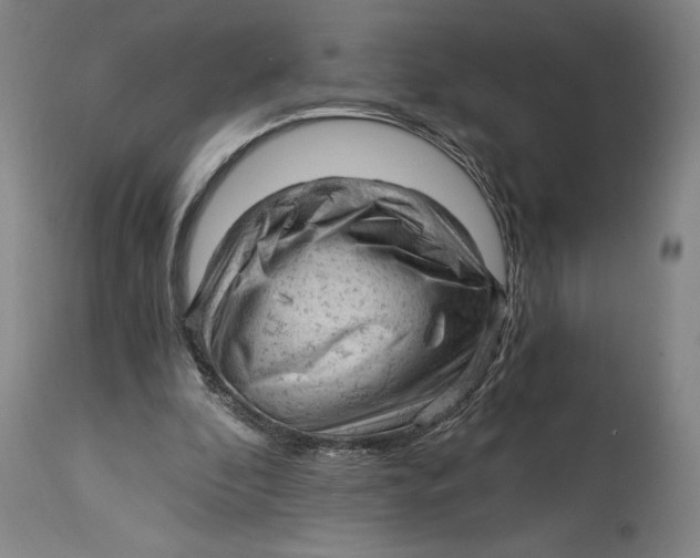 X0000115080296200911171200