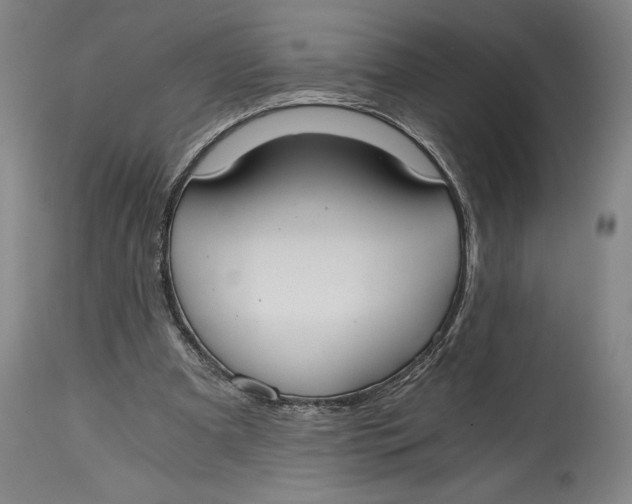 X0000115080297200911171200