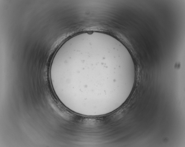 X0000115080298200911171200