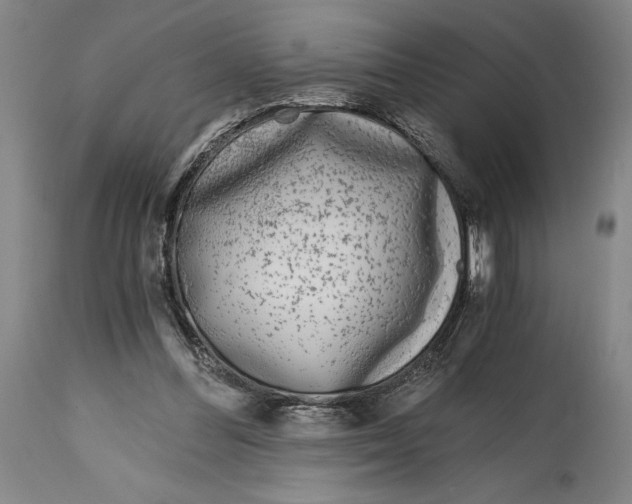 X0000115080300200911171200