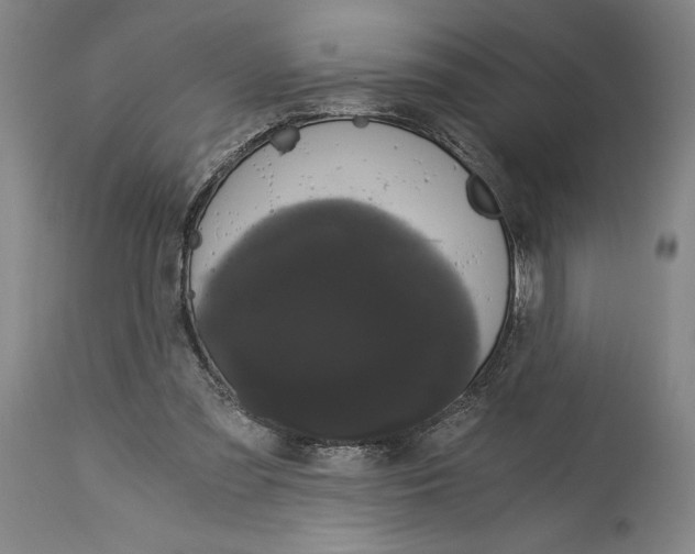 X0000115080301200911171200