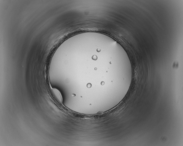 X0000115080302200911171200