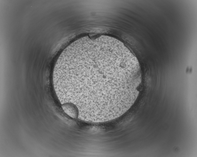X0000115080303200911171200