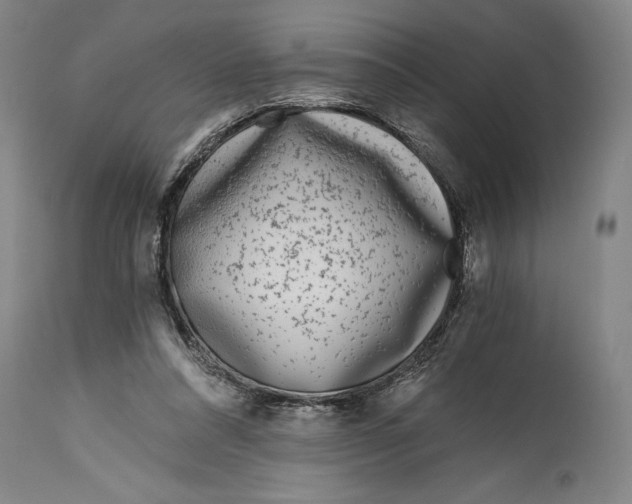 X0000115080304200911171200