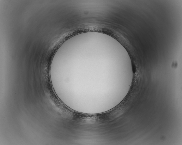 X0000115080306200911171200