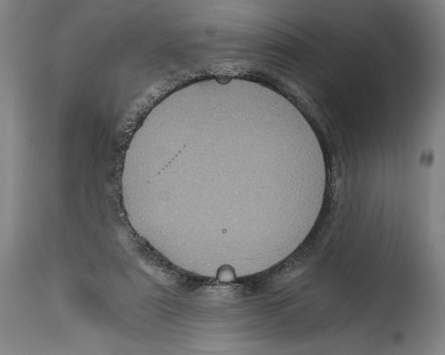 X0000115080307200911171200