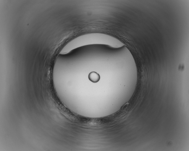 X0000115080308200911171200