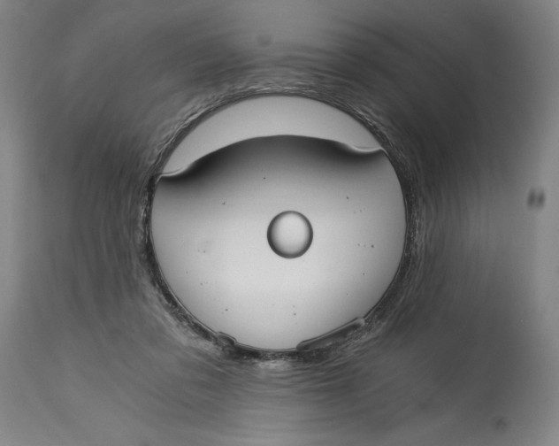 X0000115080309200911171200