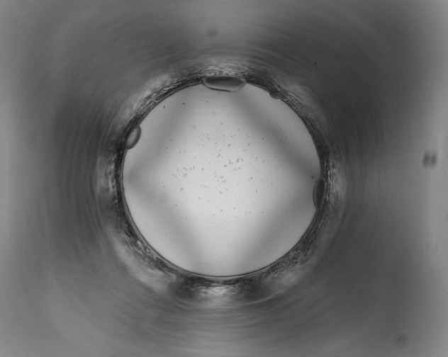 X0000115080312200911171200