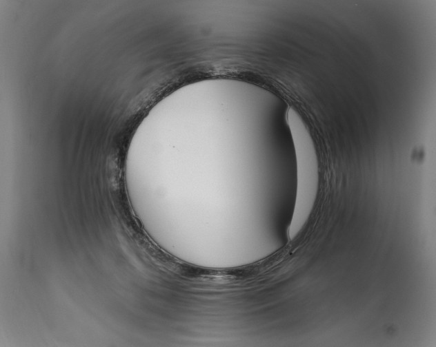 X0000115080316200911171200