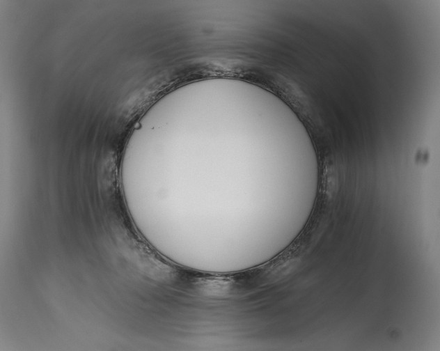 X0000115080318200911171200