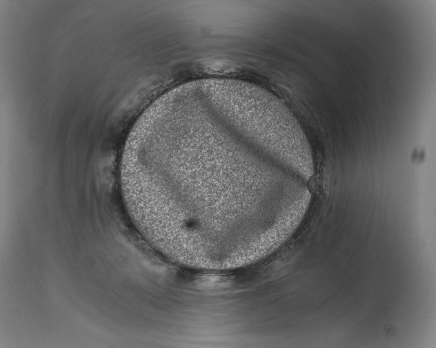 X0000115080319200911171200