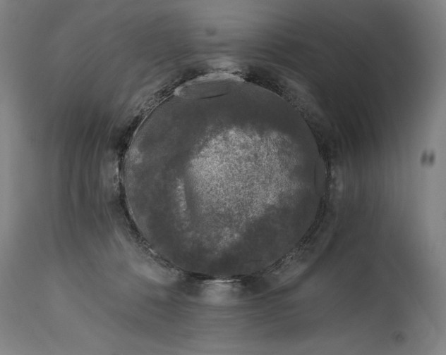 X0000115080320200911171200