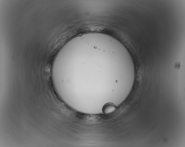 X0000115080321200911171200