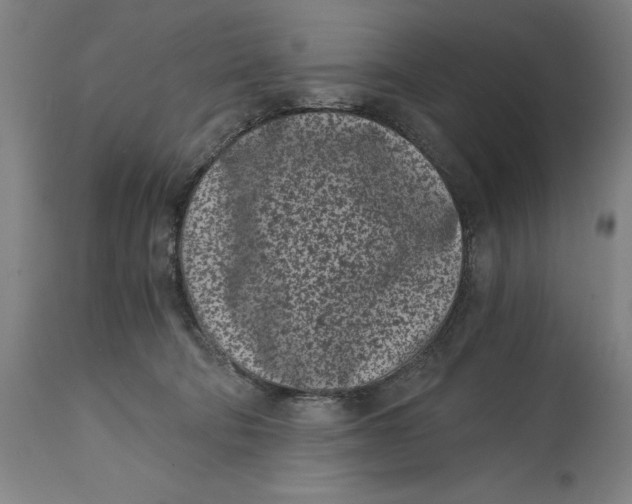 X0000115080322200911171200