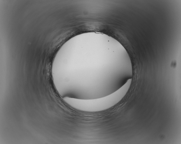 X0000115080325200911171200