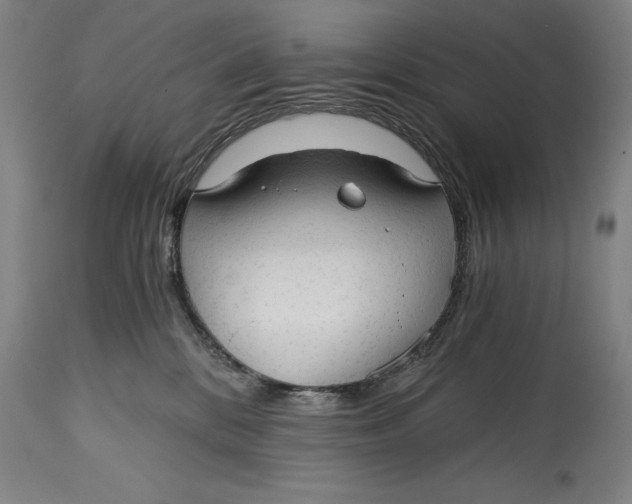 X0000115080328200911171200