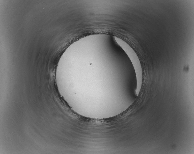X0000115080329200911171200