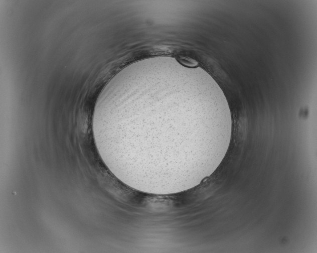 X0000115080331200911171159