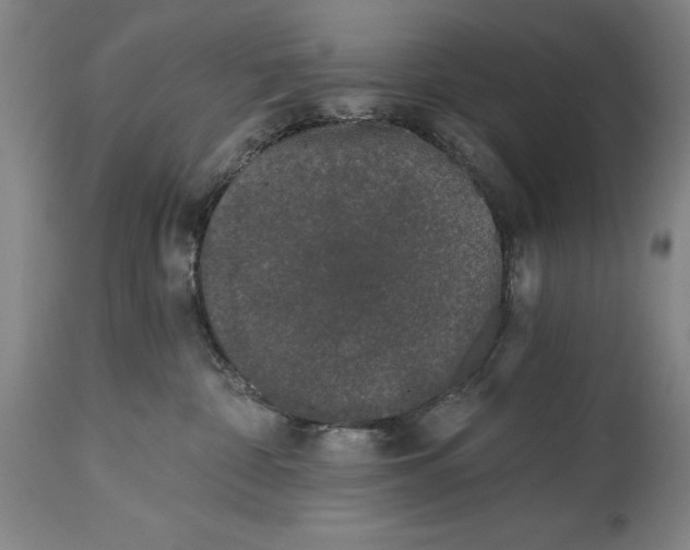 X0000115080332200911171159