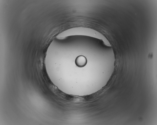 X0000115080333200911171159
