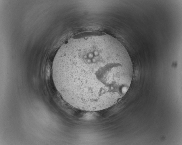 X0000115080334200911171159