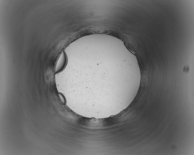 X0000115080335200911171159