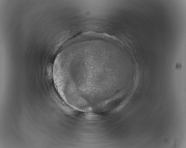 X0000115080336200911171159