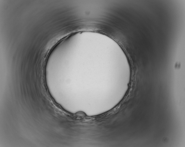 X0000115080337200911171159