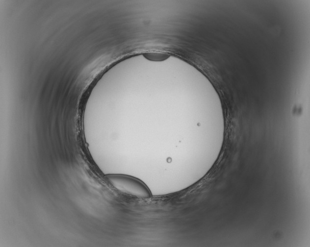 X0000115080338200911171159
