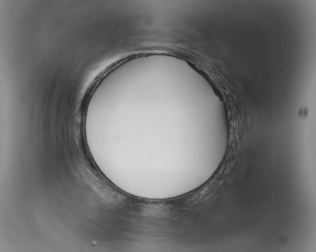 X0000115080342200911171159