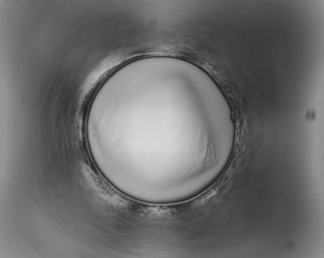 X0000115080343200911171159