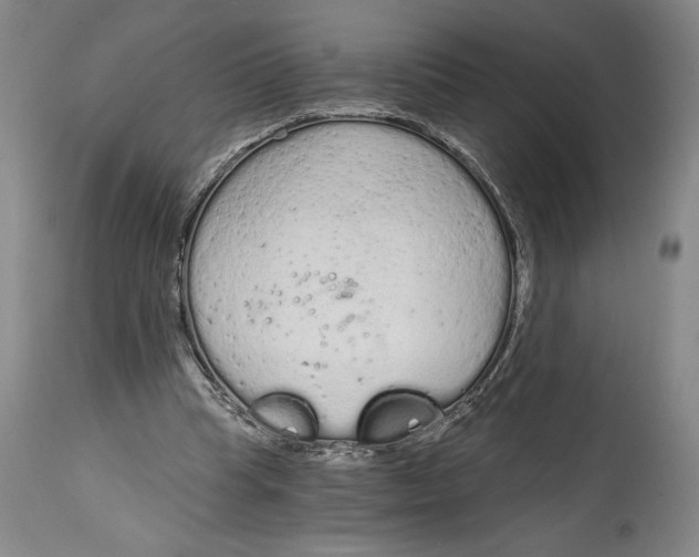 X0000115080345200911171159