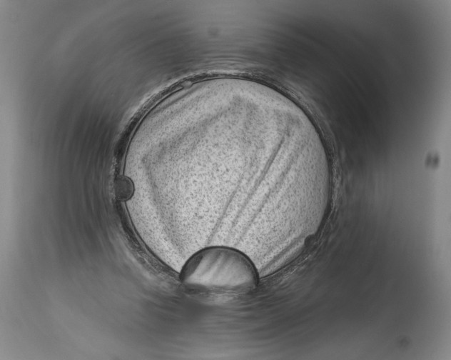 X0000115080346200911171159