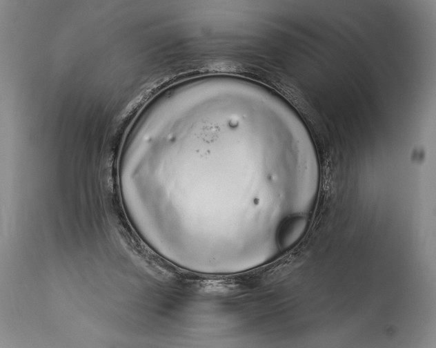 X0000115080347200911171159
