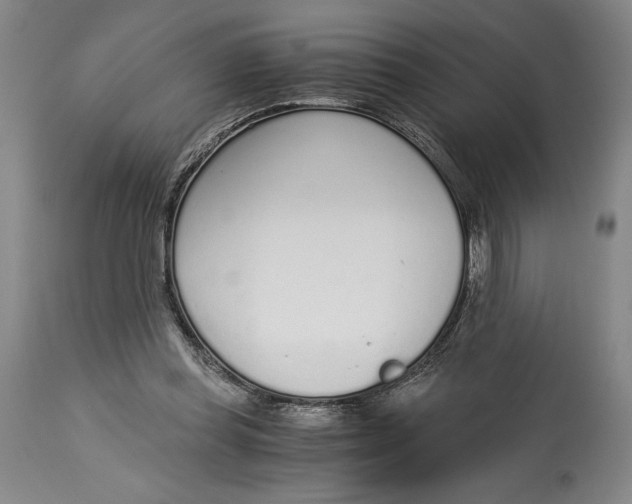 X0000115080349200911171159