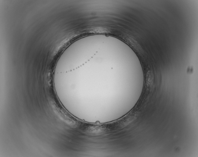 X0000115080351200911171159