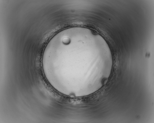 X0000115080353200911171159