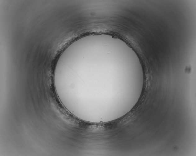 X0000115080354200911171159