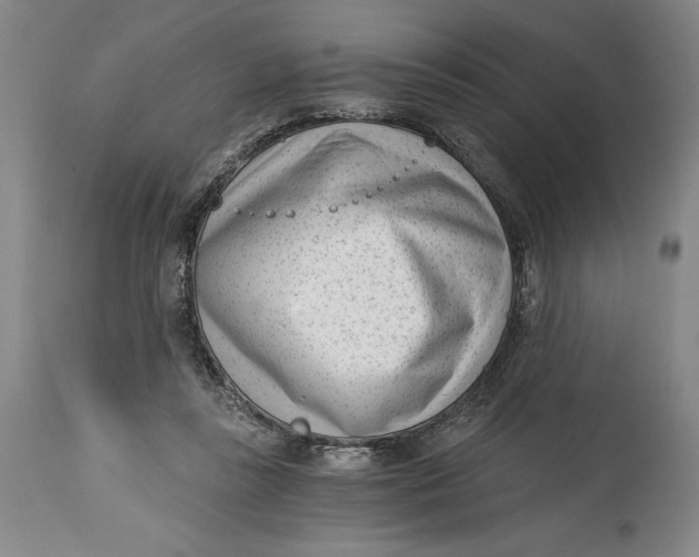 X0000115080355200911171159