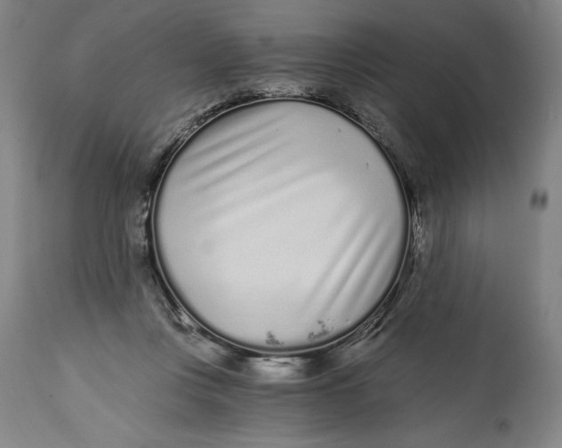 X0000115080359200911171159